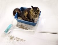 Schticky Deluxe