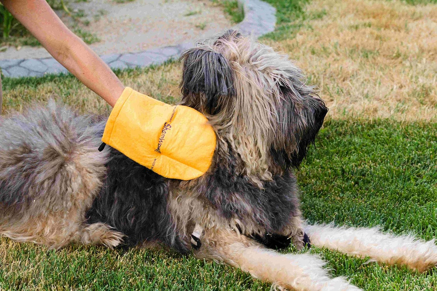 Shamwow Cleaning Mitt